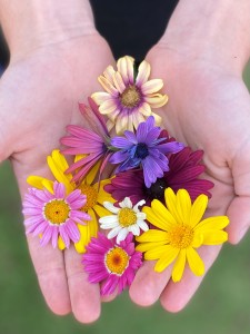 flower-hands